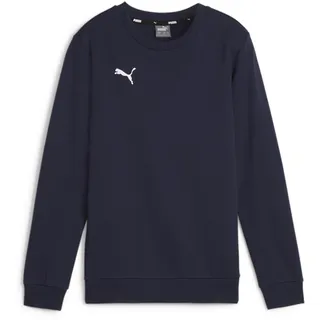 Puma teamGOAL Casuals Crew Neck Sweat Jr Blue 128