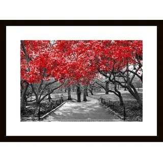 Euroart Glasbild , Rot, Schwarz, Weiß , Glas , rechteckig , 30x40 cm , Fotografie, einfache und schnelle Anbringung, glänzend , Bilder & Rahmen, Bilder, Glasbilder