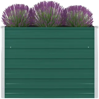 vidaXL Hochbeet 100 x 100 x 77 cm Grün