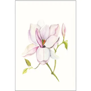 KOMAR Wandbild Magnolia Shine 30 x 40 cm