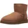Chestnut 45