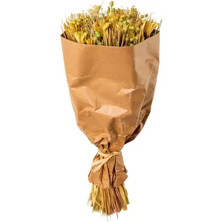 Creativ home Trockenblume »Trockenblumenbouquet«, grün