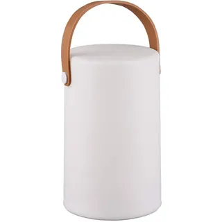 Trio Außenleuchte Kunststoff 1 Watt RGB LED 70 lm spritzwassergeschützt weiß