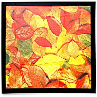 Medog Bilderrahmen, quadratisch, 3 x 33 cm, Schwarz