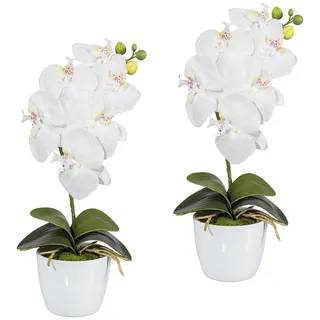 Creativ green »Orchidee Phalaenopsis« im Keramiktopf,