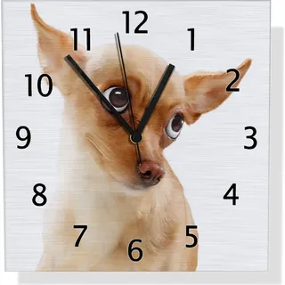 Wallario Design Wanduhr Lustiger Hund mit fliegenden Ohren aus Aluverbund, Größe 30 x 30 cm - Weiß