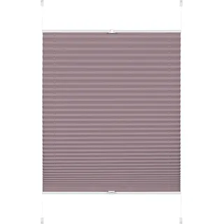 GARDINIA Plissee »EASYFIX Greta« Lichtschutz ohne Bohren verspannt inkl. dezenter Abdeckleiste (Staubschutz), beige