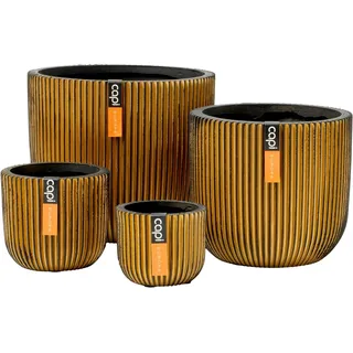 Capi Gemischte Box mit 4 Töpfen Groove Gold