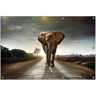 Wallario Outdoor-Poster für Garten oder Balkon, Motiv Elefant bei Sonnenaufgang in Afrika, in ca. 100 x 150 cm - Braun