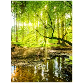 MuchoWow Poster Wald - Landschaft - Wasser - Bäume - Sonne - Grün - Natur 60x80 cm , Papier , Rechteckig , 60x80x0.1 cm , Bilder & Rahmen, Bilder, Sonstige Wandbilder