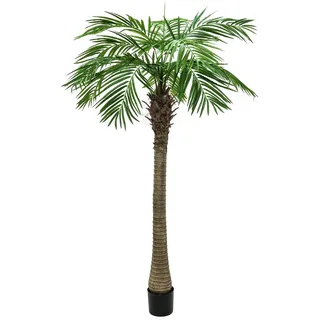EUROPALMS Phönixpalme Luxor, Kunstpflanze, 210cm | Phönixpalme mit imposantem Blattwerk