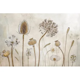 Papermoon "Photo-Art MANDY DISHER, ALT WERDEN", bunt,