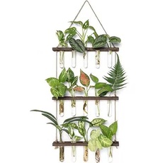 Wandbehang Glas Pflanzgefäß Anzuchtstation Hängende Pflanze Terrarium