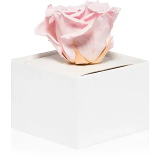 RoseAmor Pink stabilisierte Rose in der Box 1 St.