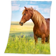 Bild von Kinderdecke Pferd 130 x 160 cm bunt
