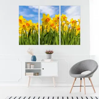 Leinwand Bilder SET 3-Teilig Narzissenfeld Country3D Wandbilder xxl 4329 - mehrfarbig - 180x120cm (3x60x120)