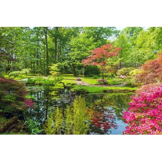 Papermoon Fototapete »GARTEN-BLUMEN BÄUME PFLANZEN STEINE WALD PARK BLÜTEN«, bunt