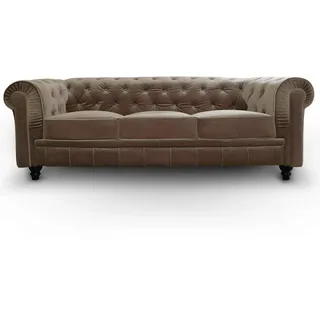 Menzzo Grand Canapé Chesterfield 3-Sitzer Sofa mit Samtbezug Taupe