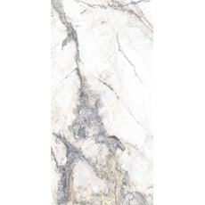Bild von Bodenfliese Feinsteinzeug Caldera 30 x 60 cm silver