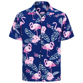 J.Ver Herren Hawaiihemd Kurzarm Sommerhemd Casual Flamingo Floral Strandhemd Bügelfrei Button Down Kurzarm Hawaii Shirt Faltenfrei Urlaub Shirt,Blau Flamingo,4XL