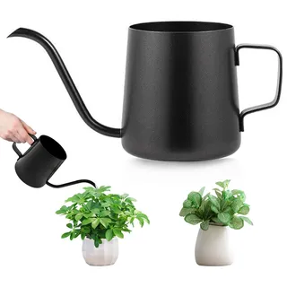 Schwarz Gießkanne Klein Zimmerpflanzen, 250ml Giesskanne Zimmerpflanzen, Mini Gießkanne, Edelstahl Langer Auslauf Giesskanne, Gartengießkanne für Haus Pflanze Bonsai Outdoor Garten Blumen