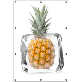 Wallario Outdoor-Poster für Garten oder Balkon, Motiv Ananas in Eiswürfel - Eiskaltes Obst, in ca. 100 x 150 cm - Weiß
