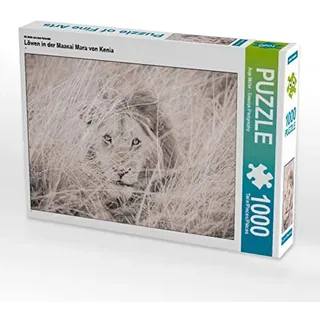 Calvendo Puzzle Ein Motiv aus dem Kalender Löwen in der Maasai Mara von Kenia 1000 Teile Puzzle quer | Lege-Größe cm Foto-Puzzle für glückliche Stunden