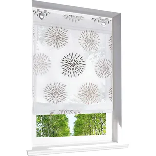 Raffrollo mit Kreis-Motiven Druck Design Rollos Voile Transparent Vorhang (BxH 80x140cm, Braun mit U-Haken)