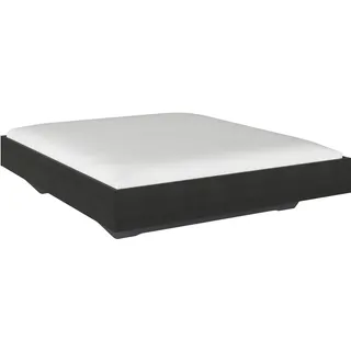 Rauch Phoenix 185 x 206 cm Grau