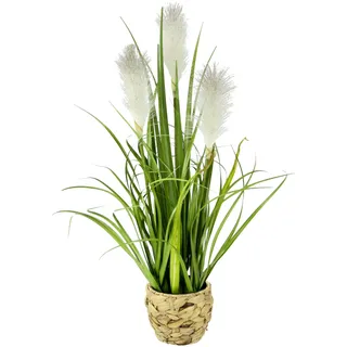 Flair Flower Künstliches Pampas Gras im Topf Feder Ufergras Seidenblume Grasbusch Dekogras Gras Gräser Kunstpflanze Pflanze Solitärgras Ziergras Dekopflanze Pampasgras Blume Kunstgras Grünpflanze Zimmerpflanze