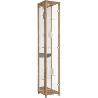 fif Möbel »OPTIMA« Standvitrine/Glasvitrine 1x Glastür,perfekt für Sammler,Sammlervitrine
