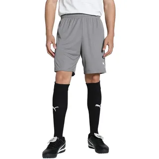 Puma teamGOAL Shorts -