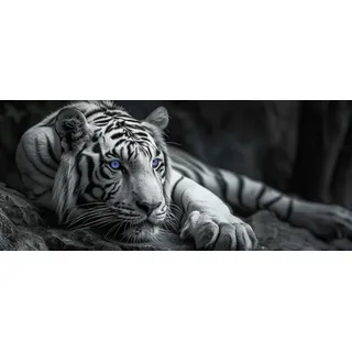Bönninghoff Leinwandbild "Wandbild TIGER XXL 60x140 cm – Leinwandbild Keilrahmen Deko modern" Raubkatzen  Tiere  Tiger  Wildtiere 1 Stk. tlg. auf Keilrahmen gespannt, farbe bild(er): schwarz, weiß, grau, blau