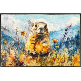 Wash+Dry Leander 50 x 75 cm Blau