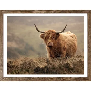 Bönninghoff Bild mit Rahmen "Wandbild gerahmt HOCHLANDRIND 40x50 cm – Tiermotiv Natur Landhaus Deko" Gräser  Hochlandrind  Landschaft  Natur  Tiere 1 Stk. tlg. mit dekorativem Rahmen, farbe rahmen: schwarz oak, farbe bild(er): braun, beige
