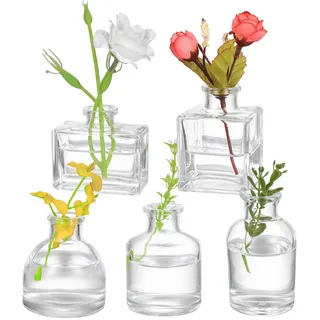 5 Stück Kleine Vasen für Tischdeko, Kleine Glasvasen, Blumenvasen, Gläser Tischvasen Set, Mini Vasen, Minivasen für Table Centrepieces Festivals Home Decoration Geburtstag Hochzeitsdeko