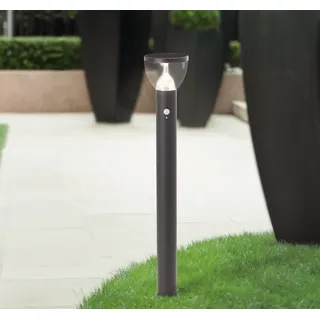 Brilliant LED Außen-Stehlampe »Tulip«, LED Außenstehleuchte, Solar, 92 cm, 430 lm, 3000 K, Edelstahl, schwarz,