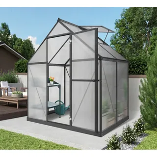 Konifera Gewächshaus, (Set), mit Fundamentrahmen schwarz