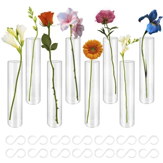 TTQiAnJ 8 Stück Aufklappbare Glasvase 15 x 3cm und 14 Kunststoff S-Haken,Transparent Reagenzglas Vase für die Dekoration von Zuhause und Büro