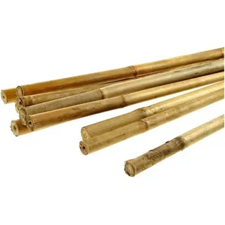 Bambusstange 16/18Mm*1500Mm - Big-Tb150