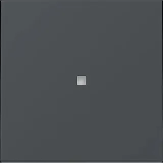Gira Wippschalter 329028