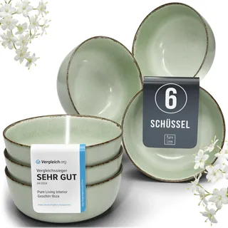Steingut Müslischalen 6 Personen Rustic TESTSIEGER, Hochwertiges Landhaussttil Steingut Müsli Schüssel Set, Kleine Schüssel, Müslischale - Pure Living in Mintgrün