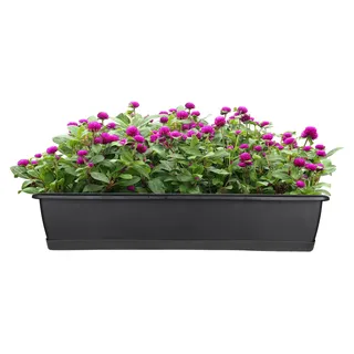 BigDean Blumenkasten mit Untersetzer 80 cm lang anthrazit | Balkon Pflanzkasten schmal Balkonkasten - aus PP-Kunststoff - Wetterfest & Langlebig