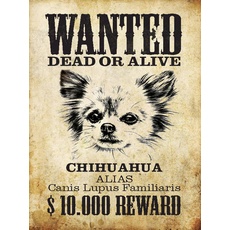 Holzschild 30x40 cm - Hund wanted Chihuahua Alias