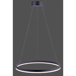 Paul Neuhaus TITUS 1-flg. Ø 60 cm grau