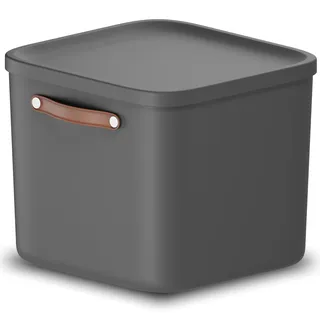 Rotho Maloja große Aufbewahrungsbox mit Deckel 40 L stapelbar Kunststoff | Maße 39,5 x 38 x 34 cm, Trageriemen zum Umstellen, für Küche, Bad und Kinderzimmer, platzsparend stapelbar, mit 40 L Volumen