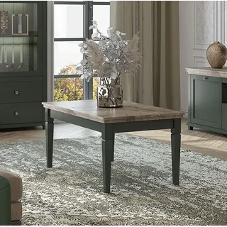 Couchtisch Wohnzimmertisch Beistelltisch 110x50cm grün eiche lefkas Landhaus - Grün, Braun