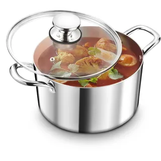 TEAMFAR Kochtopf Groß 26cm, 3-Lagen Edeastahl 6,6L Topf mit Glasdeckel für alle Herdarten, Suppentopf Induktion, Edelstahl poliert & Unbeschichtet