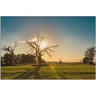 Wallario Outdoor-Poster für Garten oder Balkon, Motiv Alte knochige Bäume bei Sonnenuntergang, in ca. 61 x 91,50 cm - Gelb