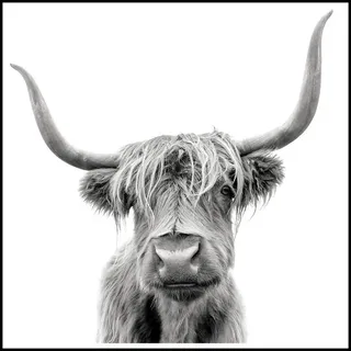 Euroart Glasbild , Schwarz, Weiß , Glas , quadratisch , 30x30x1.40 cm , Fotografie, einfache und schnelle Anbringung, glänzend , Bilder & Rahmen, Bilder, Glasbilder